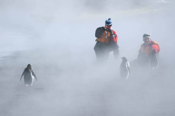 Fotografando pinguins em meio à névoa da praia de Deception Island, na Antártida